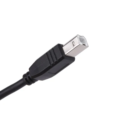 Cabo Charign USB 2.0 de alta qualidade para impressora Conector USB A macho para B macho